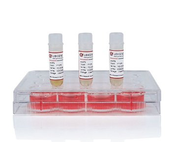 LLC-CAS9 Cell Line